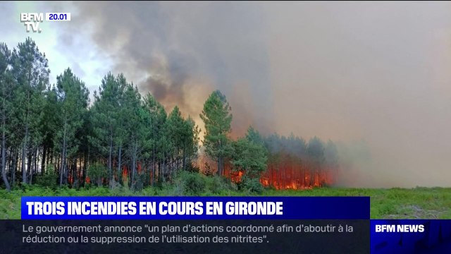 Incendie à La Teste-de-Buch: Le feu progresse toujours et a parcouru 35 hectares , selon le sous-préfet d'arrondissement d'Arcachon
