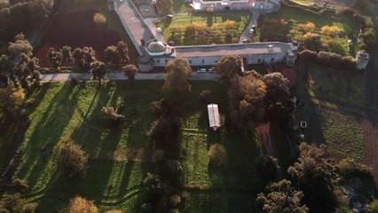 Tradizioni Future - Grani antichi e grani moderni