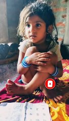 আতা গাছে তোতা পাখি