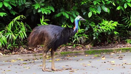 Las 10 Playas Más Peligrosas del Mundo!!