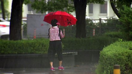 [날씨] 서울·경기 '호우주의보'...중부 국지성 호우, 150mm↑ / YTN