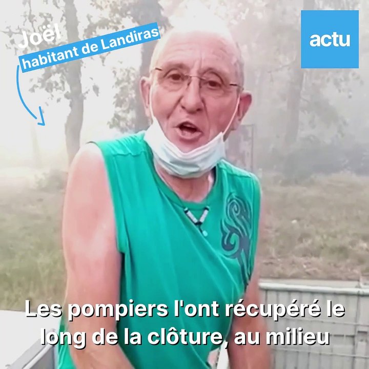 Incendie de Landiras : les pompiers ont sauvé un marcassin