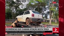 Ocorrências que chamam atenção nesta terça-feira (12)