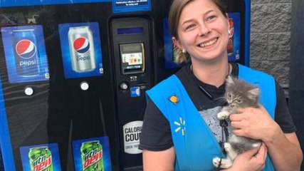 Tennessee Walmart Employee Helps Rescue Kitten From Vending Machine
