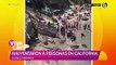 Leones marinos ahuyentaron a turistas en playa de California