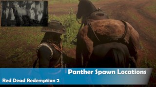 Panther Spawn Locations in Red Dead Redemption 2