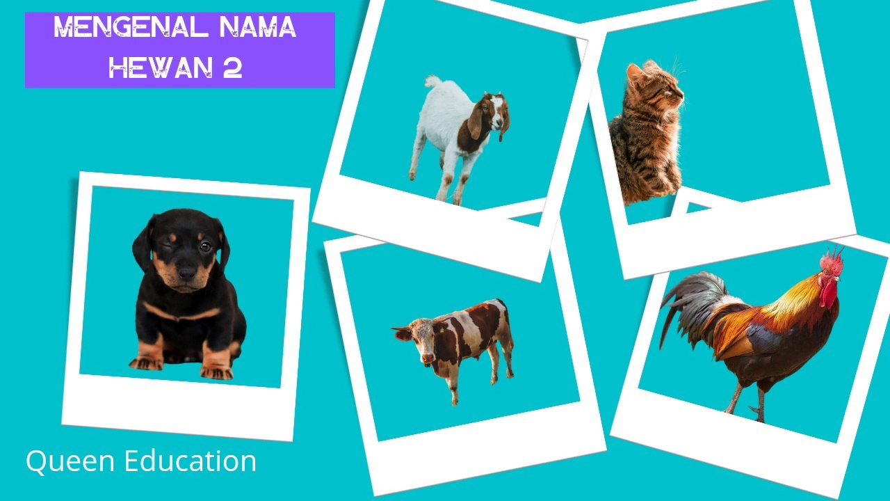 Belajar Mengenal Nama Nama Hewan Dan suaranya part 2