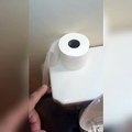 Some People Be Doing This To Avoid Replacing Toilet Paper ,who can relate ? 