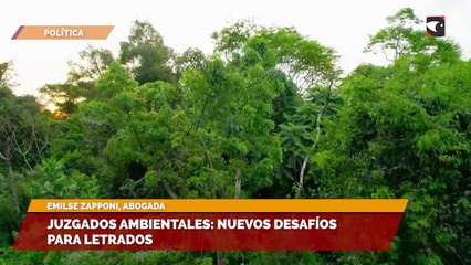 Juzgados ambientales: nuevos desafíos para letrados