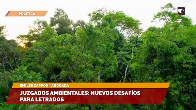 Juzgados ambientales: nuevos desafíos para letrados