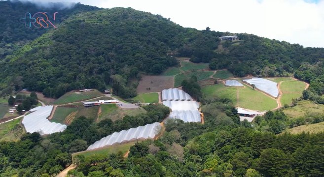 mqn-Tour lo lleva a conocer a “Mamá Uva” y los secretos de la producción vinícola-120722