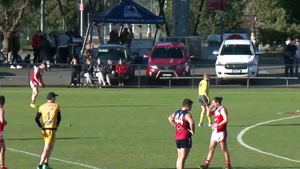 Brock Harvey - match highlights v Sandhurst | ROUND 12 - Bendigo Advertiser