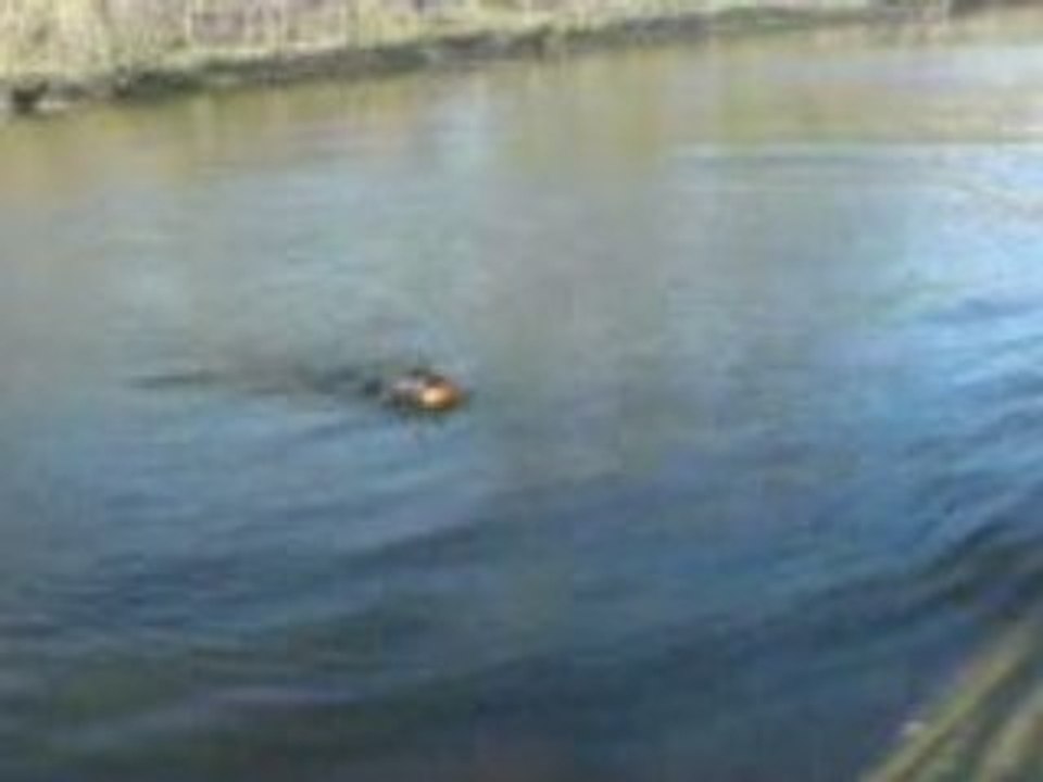 Cassie aka käsebeat geht baden