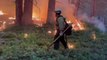 Preventative fires credited with saving Yosemite sequoias
