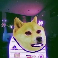 কিছু নেই