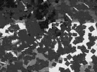 Same trip_Manual everywher_Another try