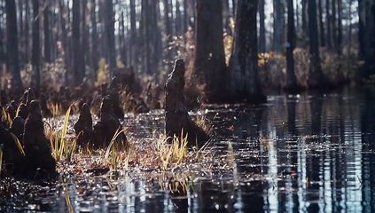 South of Hell Staffel 1 Folge 6 HD Deutsch