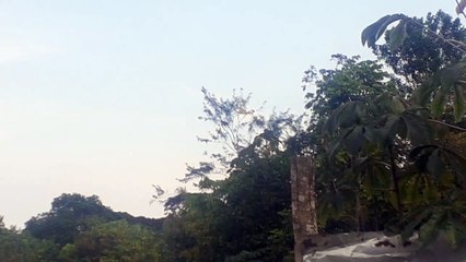 Airbus A321 PT-XPD coming from Brasília to Manaus