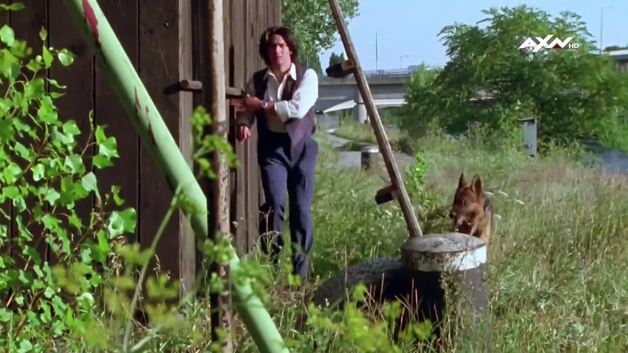 Kommissar Rex Staffel 1 Folge 3 HD Deutsch