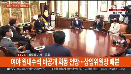 '상임위 배분' 협상…여 물밑 '당권 경쟁' 가열
