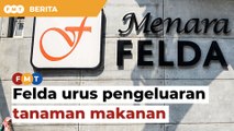Rafizi cadang Felda urus pengeluaran tanaman makanan