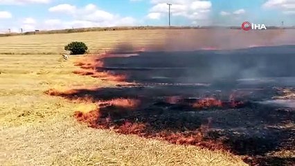 Скачать видео: Römorktaki balyalarda çıkan yangın 200 dönüm anız ile 20 dönüm buğdayı küle çevirdi