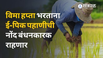 E-Pik Pahani | पीक विम्यातील अडथळे दूर होणार ? | Sakal Media
