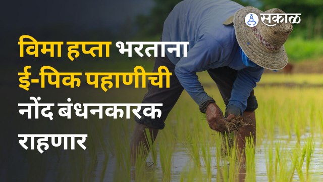 E-Pik Pahani | पीक विम्यातील अडथळे दूर होणार ? | Sakal Media