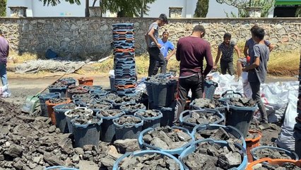 Video herunterladen: Kömür satışı yapan işletmeler: Vatandaş fiyatı duyunca ısınıyor