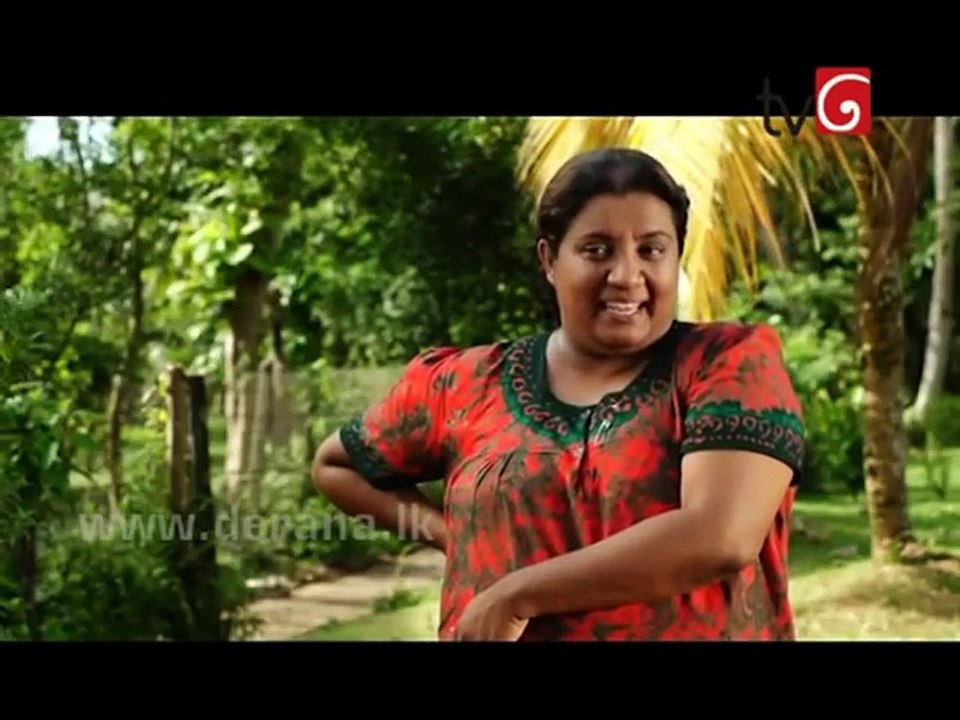 Neela Paligu Diya Episode 15