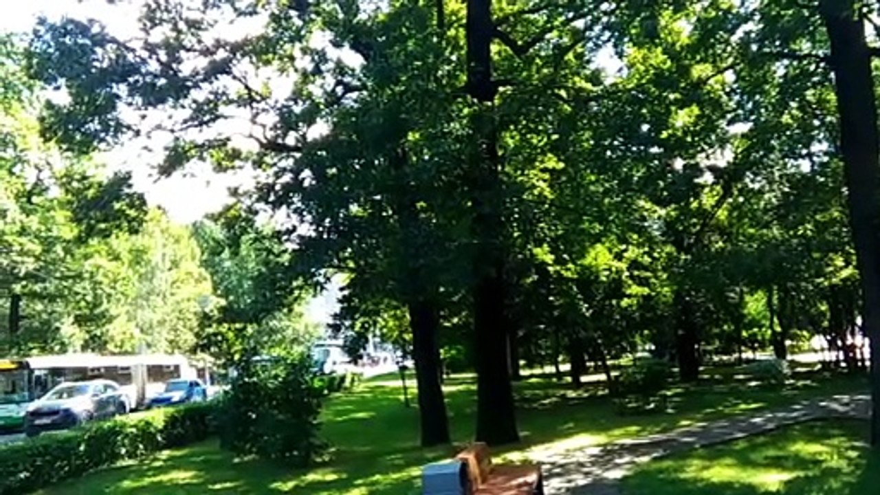 island-banner-video.mp4