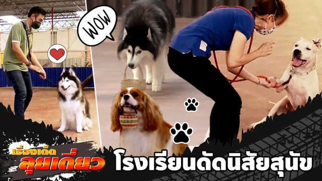 เรื่องเด็ดลุยเดี่ยว | โรงเรียนดัดนิสัยสุนัข | ข่าวเที่ยงอมรินทร์ | 21 ก.ค.65