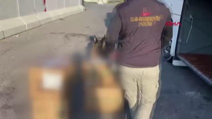 23 KİLO ESRARLA YAKALANDI; 'ADANA SICAĞINI MERAK EDİP, GEZMEYE GELDİM' DEDİ