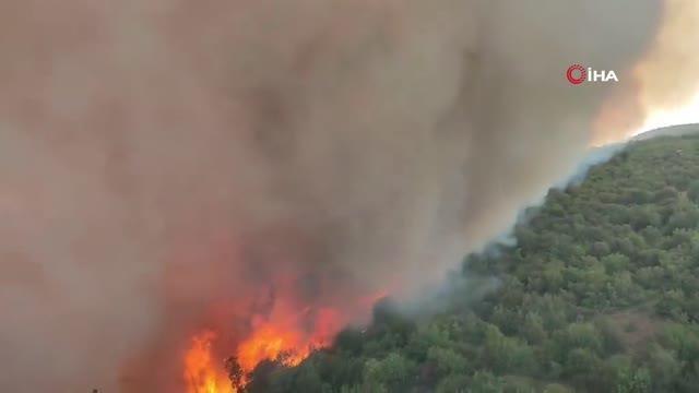 Son dakika! Slovenya'da orman yangını: 4 köy tahliye edildi