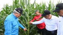Venezuela’da toprak kiralayıp buğday ekeceğimizi öğrenen vatandaş: Dünyanın bilmem neresinde…