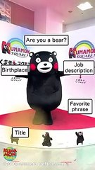 [ Kumamon World ]  Kumamon Self Introduction #Shorts