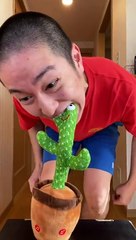 Red Light Cactus vs Sagawa