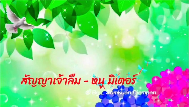 สัญญาเจ้าลืม - หนู มิเตอร์ 4k (2160 x 3840 60fps)