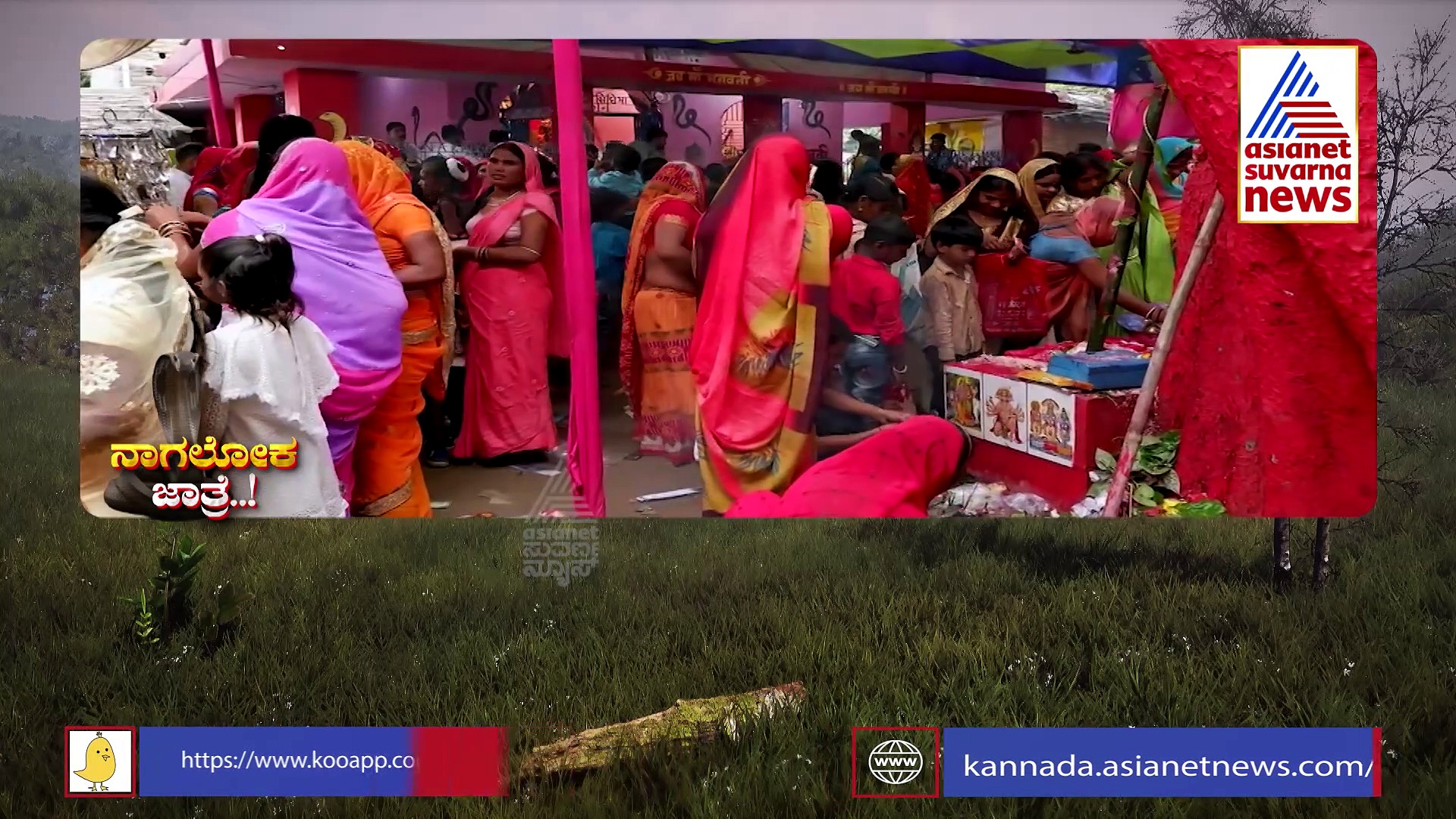 ಹಾವುಗಳ ಜಾತ್ರೆ: ಕಾರ್ಕೋಟಕ ಸರ್ಪಗಳ ಜೊತೆ ಆಟ, ಈ ಜನರಿಗೆ ಚೆಲ್ಲಾಟ