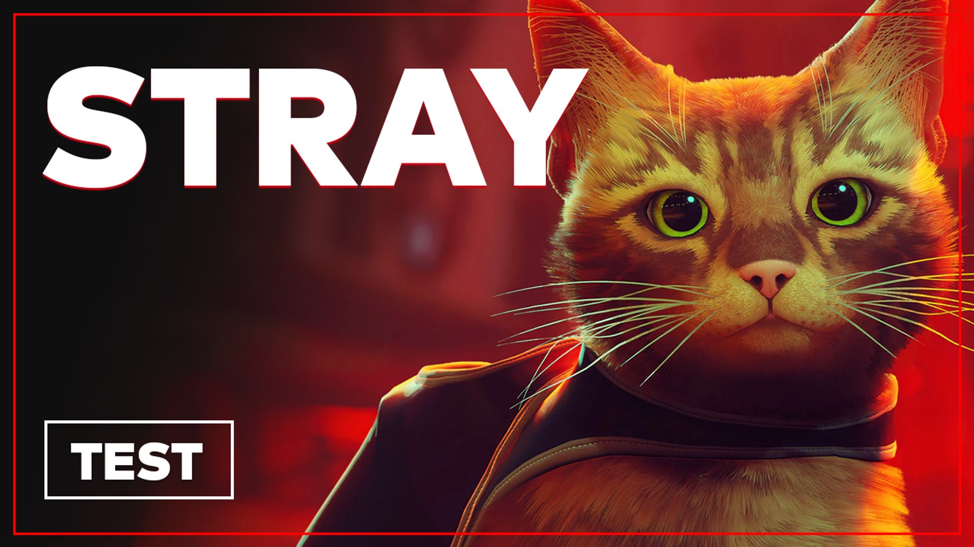⁣Stray - Test complet sur PS5