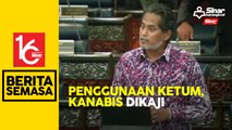 Kerajaan sedang kaji ketum, kanabis untuk perubatan