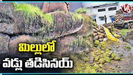 Paddy Stock Damaged In Rice Mills Due To Heavy Rains | Siddipet | V6 News