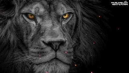 NO MORE EXCUSES!  Listen on REPEAT!  Over 1 Hour Motivational Speeches