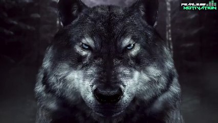 If You Feel Alone WATCH THIS (Lone Wolf - The Original Motivational Audios)