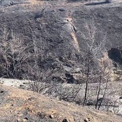 Οι αναρτήσεις του Σταύρου Νικολαϊδη με τις καταστροφές από την φωτιά 2