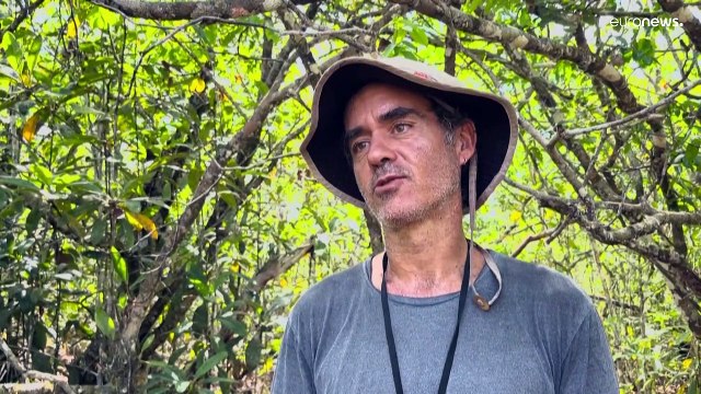 En Amazonie, les scientifiques étudient la biodiversité pour tenter de la protéger