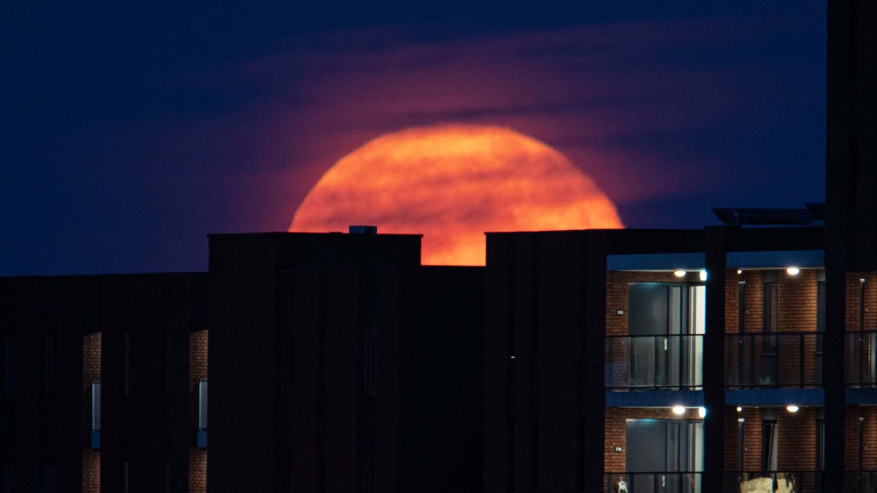 Super-Vollmond 2022: Um die Uhrzeit seht ihr ihn am besten!