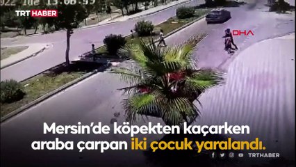 Köpeklerden kaçan çocuklara otomobil çarptı