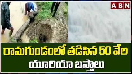 రామగుండంలో తడిసిన 50 వేల యూరియా బస్తాలు || Telangana || Mahabubabad District || ABN Telugu
