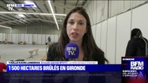 Incendies en Gironde: 1500 hectares ravagés par les flammes et 6000 personnes évacuées